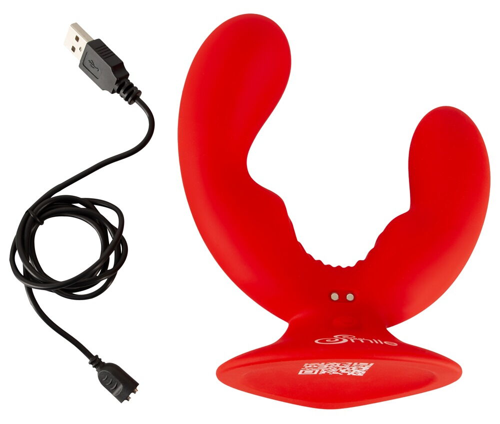 Dual Vibrator
