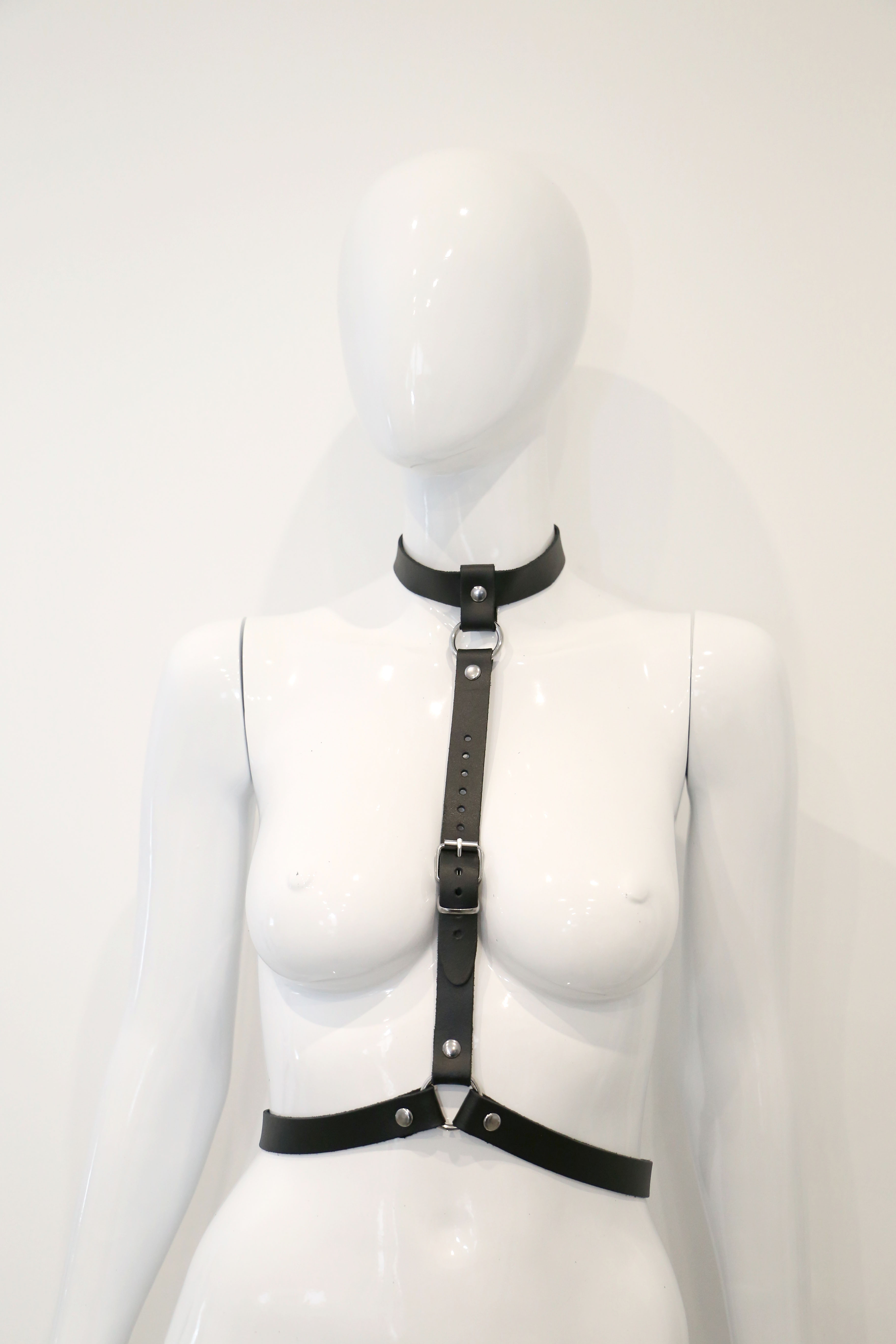 Halsband Harness/Taillengurt