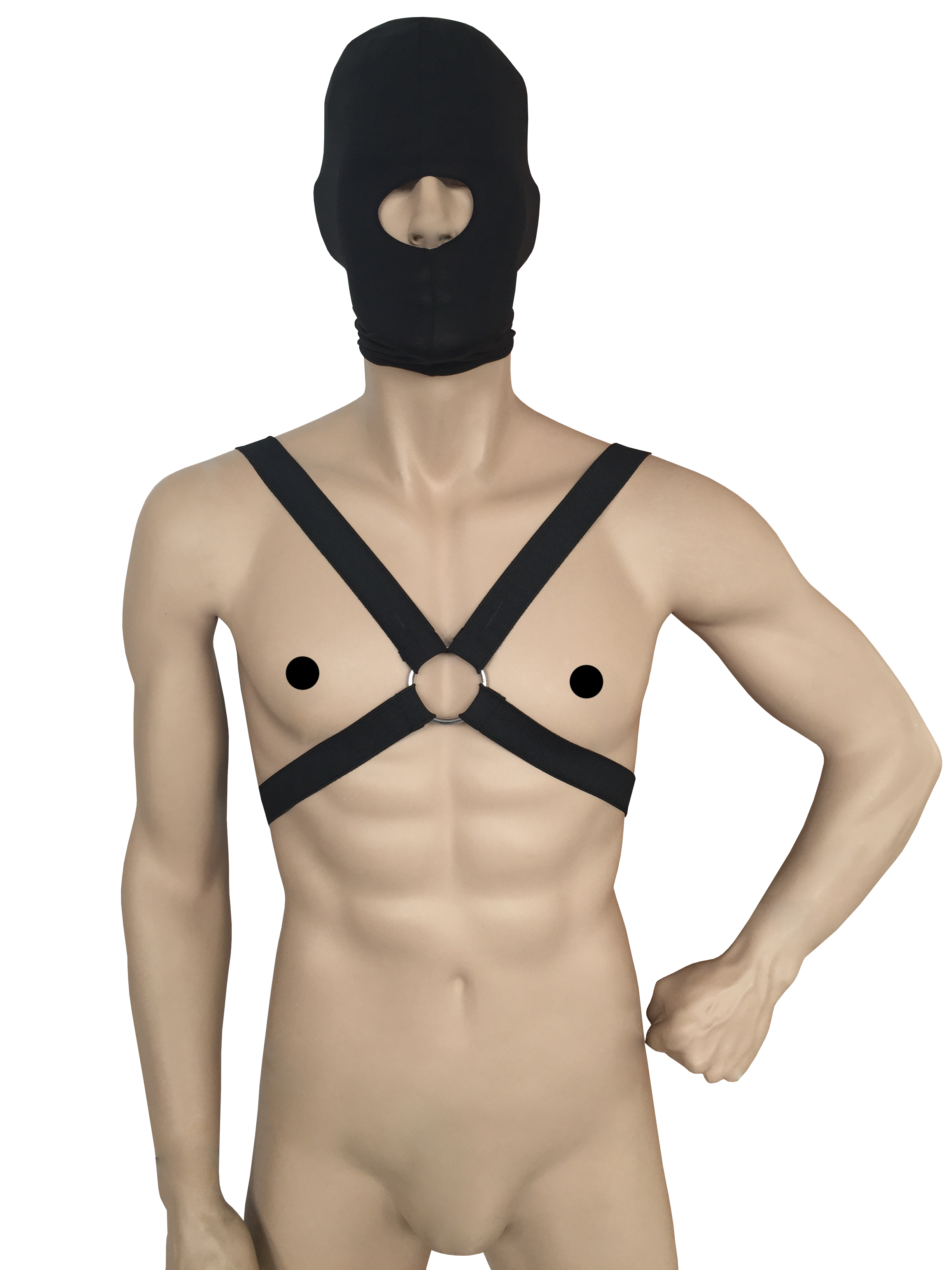 Harness
