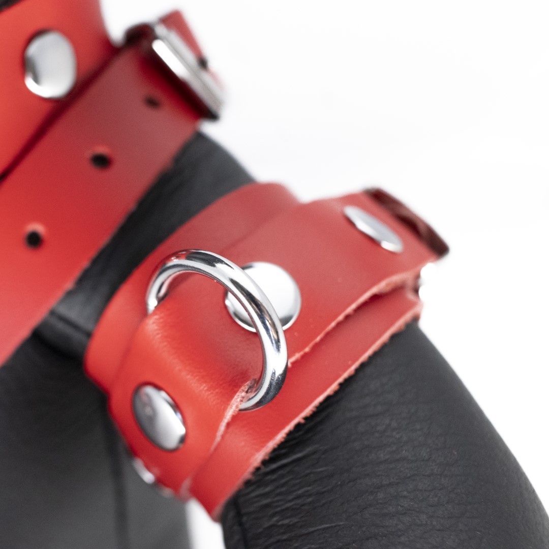 "EDDY" the BDSM-Teddy - rot