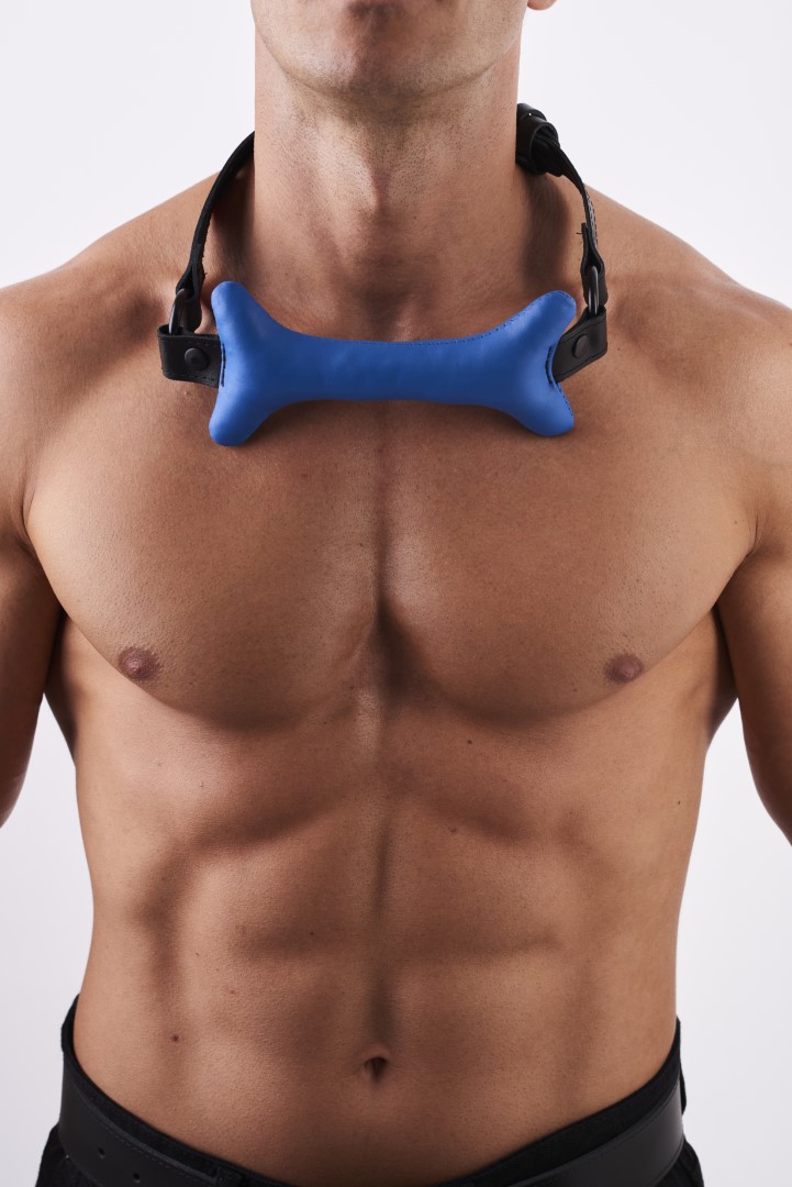 Doggy Leder Knochen Knebel Blau