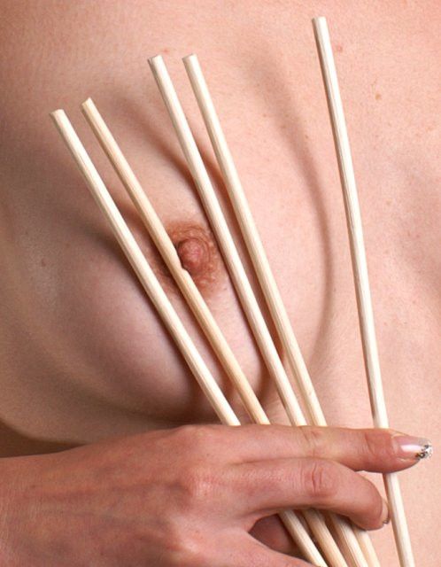 5er-Pack Cane unbehandelt - geschält, Ø ca. 5mm, Länge ca. 70cm