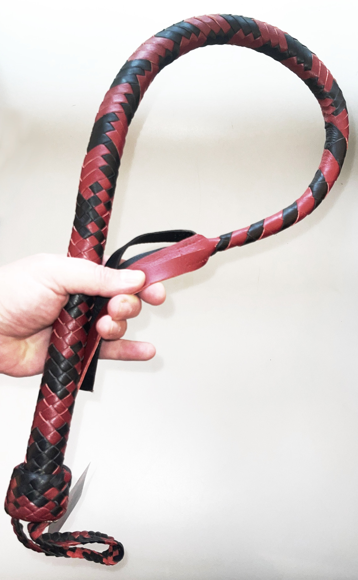 Kanadische Shortpeitsche kurze Singletail - RedBlack
