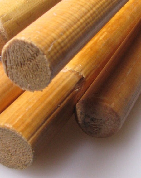 5er-Pack Cane unbehandelt - ungeschält, Ø ca. 10mm, Länge ca. 100cm